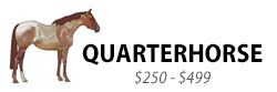 Quarterhorse, $250-$499