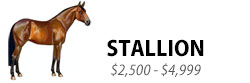 Stallion, $2,500-$4,999 and up