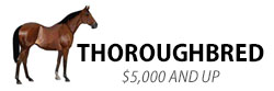 Thoroughbred, $5,000 and up